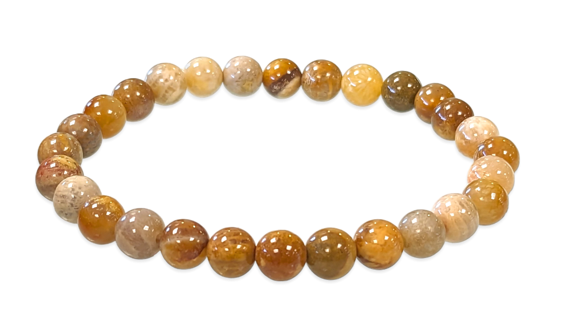 Koralle Fossil - AB Qualität - Perlenarmband 6 mm
