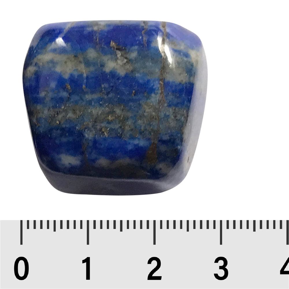 Lapis Lazuli - Trommelstein - Größe 2 - 3 cm