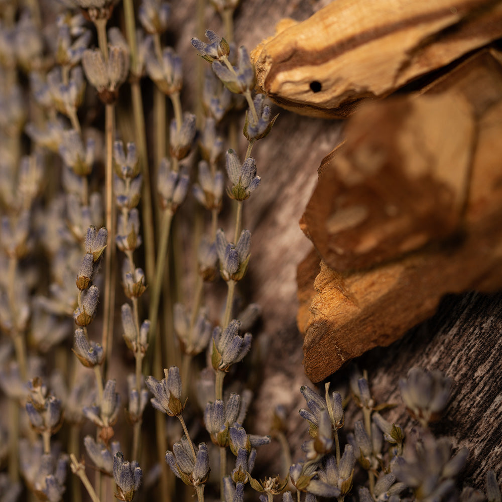 Sagrada Madre - Artesano - Palo Santo & Lavendel - Räucherstäbchen