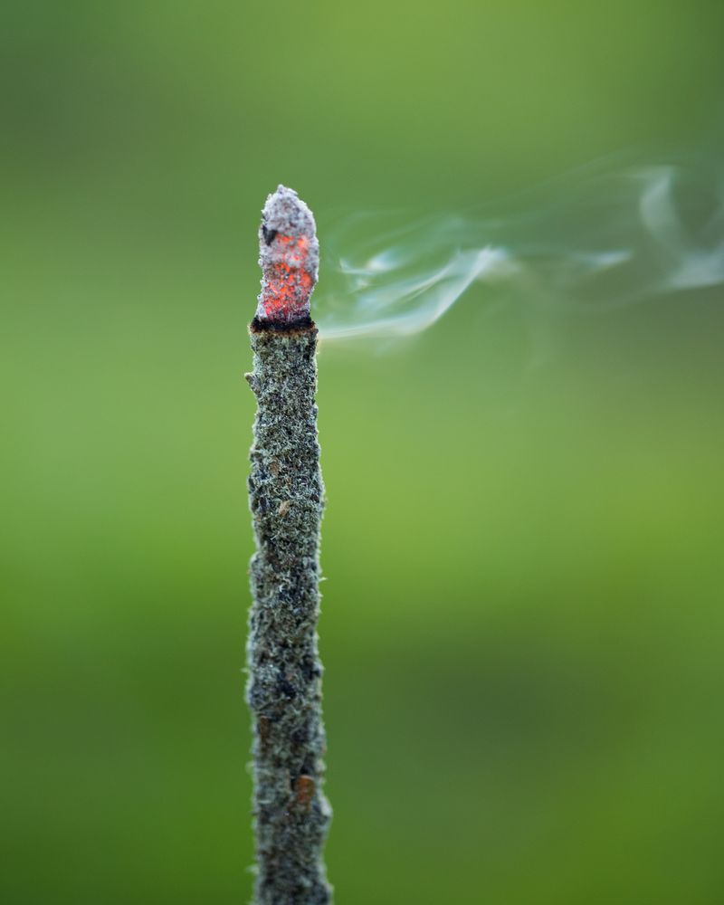 Sagrada Madre – Blend Masala - Gaia - Räucherstäbchen - 8 Stk.