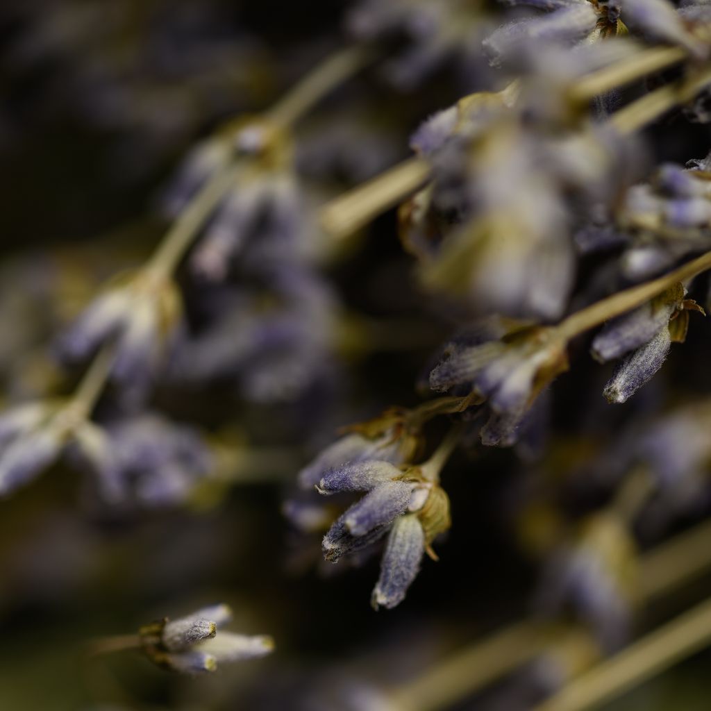 Sagrada Madre – Bombita Herbal - Räucherkugeln - 7 Kräfte - 4 Stk.