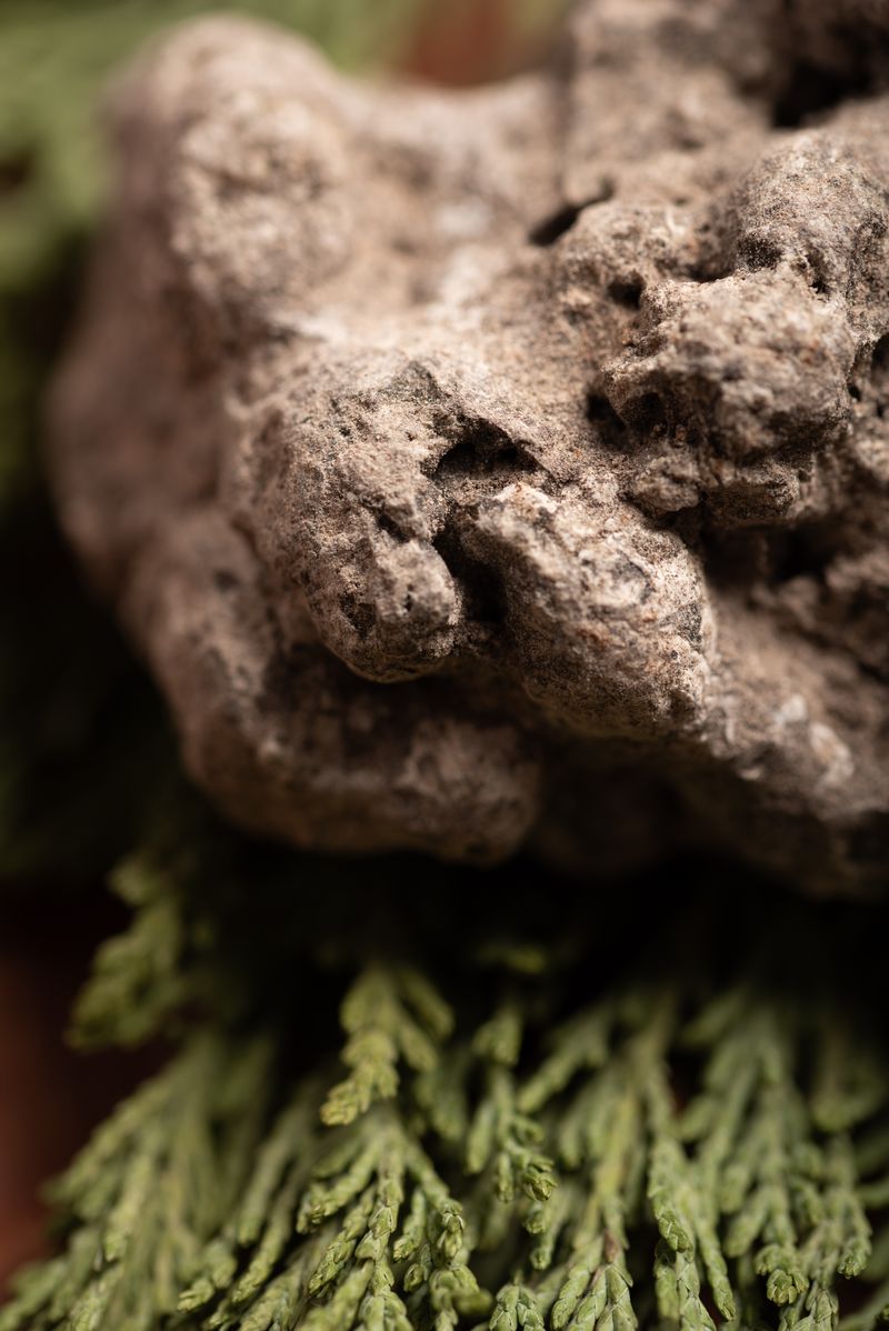 Sagrada Madre – Bombitas - Aktiv Räucherkugeln - 7 Kräuter & Copal – 8 Stk.