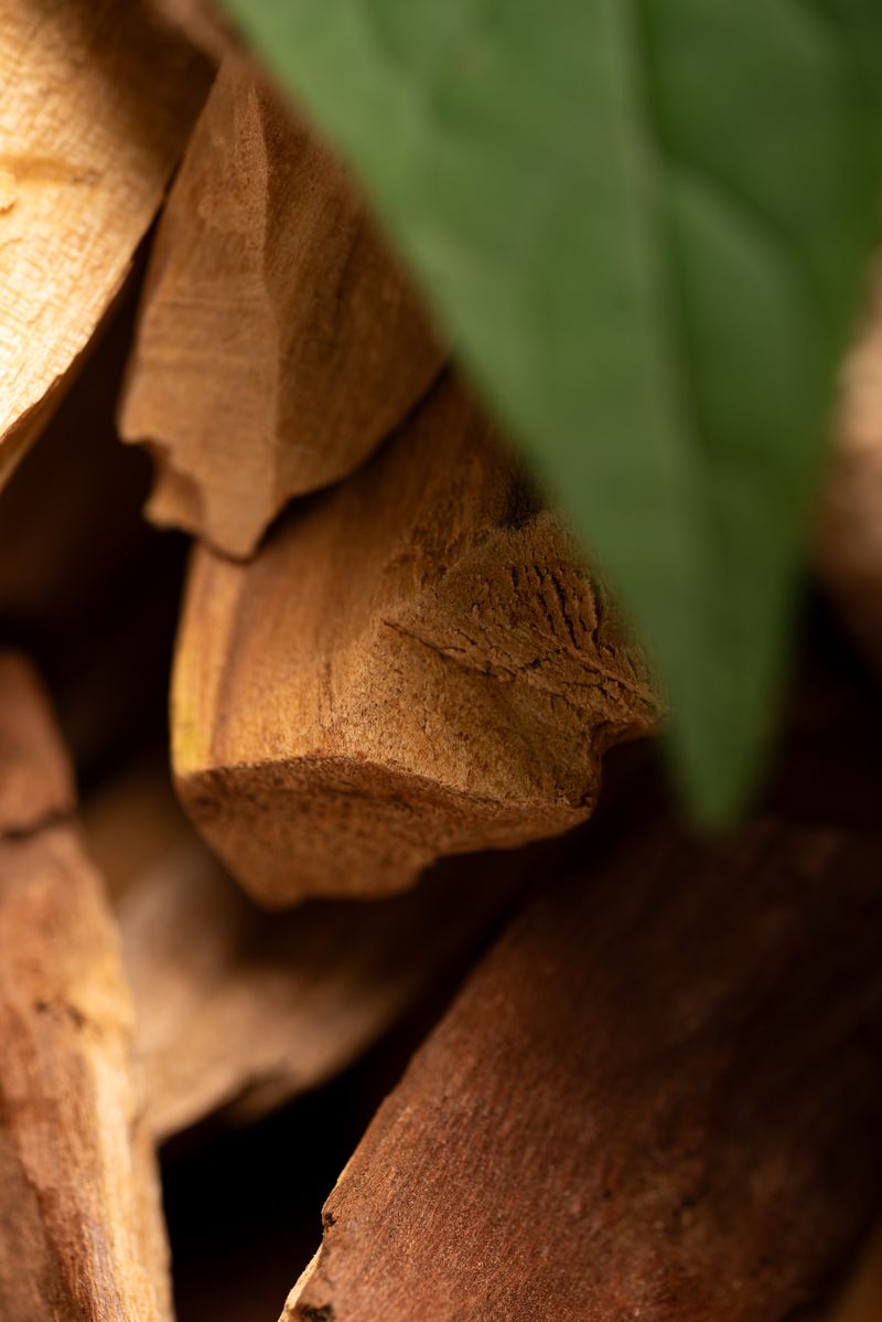 Sagrada Madre – Bombitas - Aktiv Räucherkugeln - Palo Santo – 8 Stk.