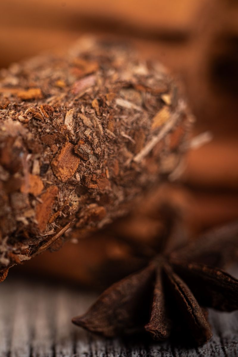 Sagrada Madre – Palo Santo Stick „Anis & Zimt“