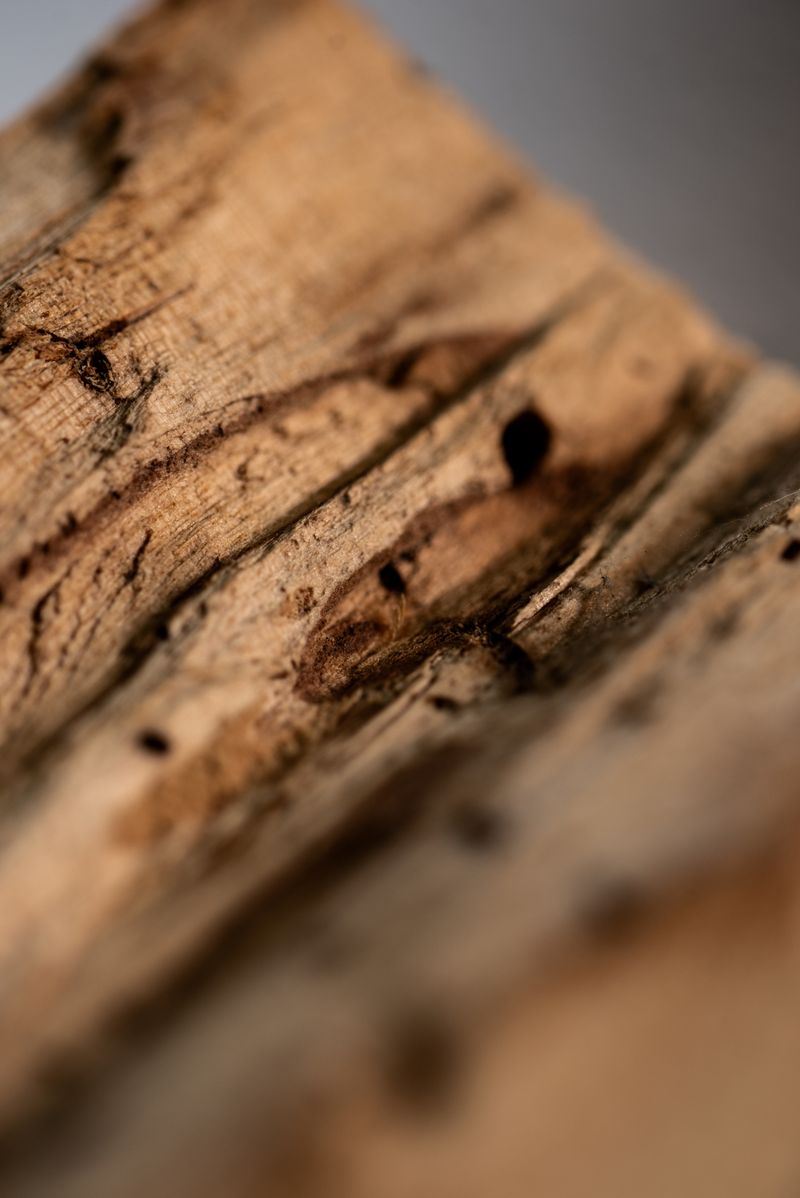 Sagrada Madre – Palo Santo Stick „Holywood“