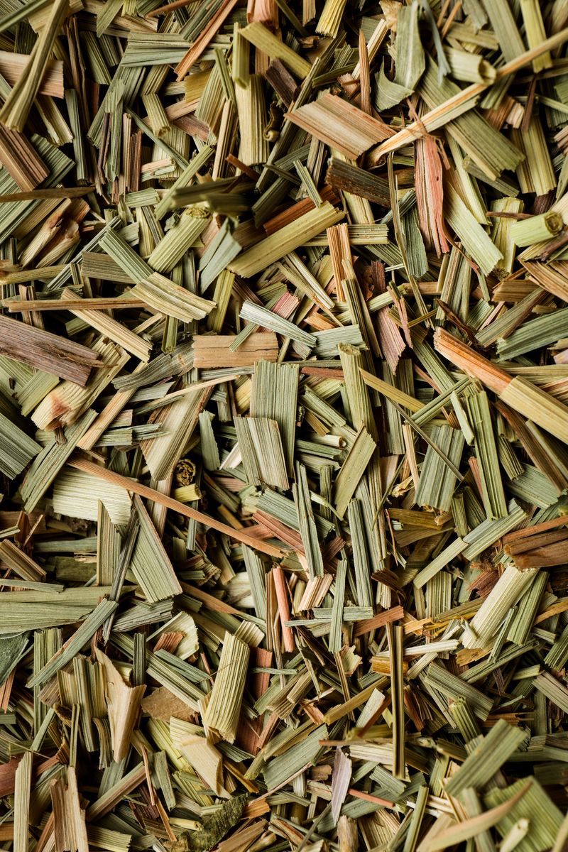 Sagrada Madre – Palo Santo Stick „Lemongrass“