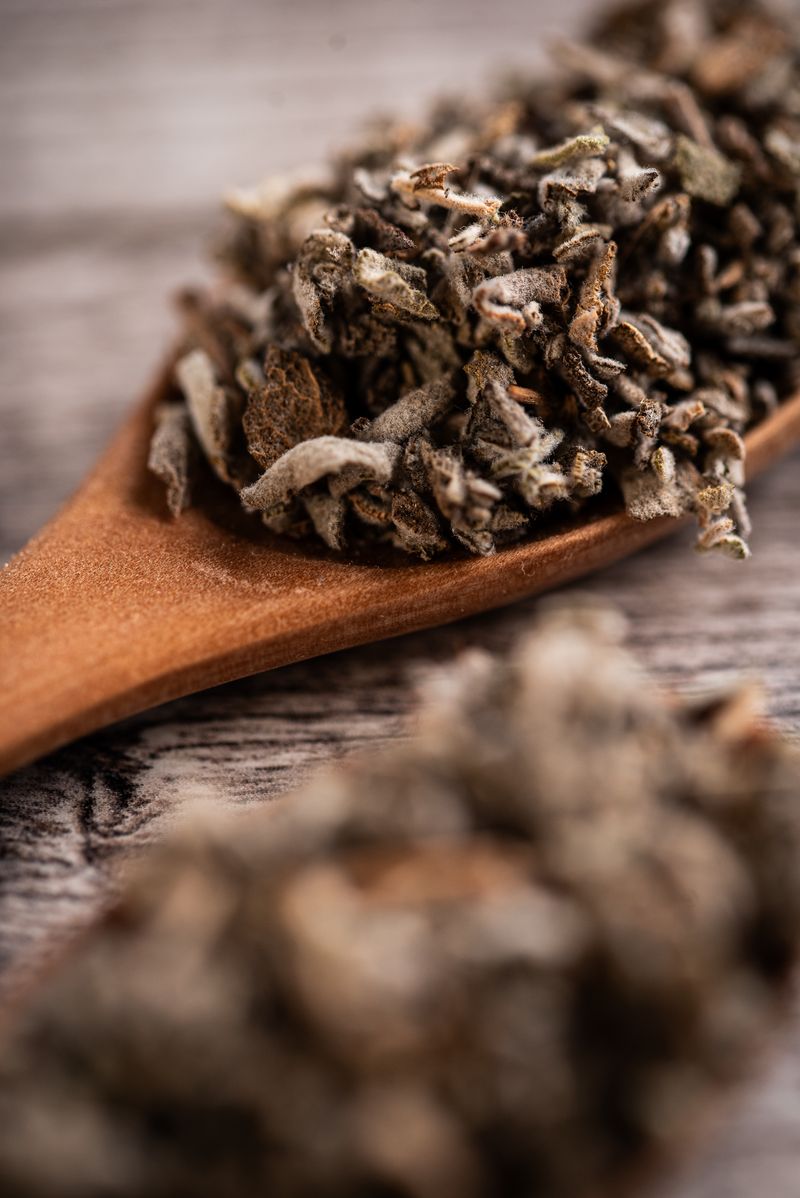 Sagrada Madre – Palo Santo Stick „Weißer Salbei“