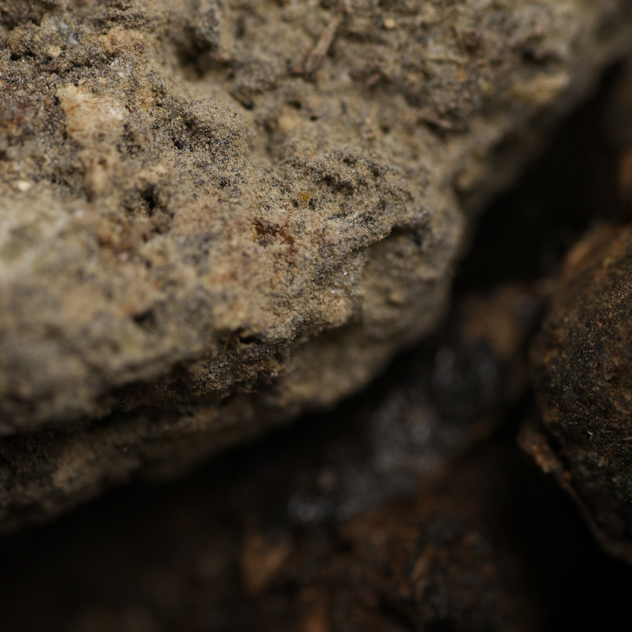 Sagrada Madre – Räucherpastillen „7 Tage Reinigung" - Myrrhe & Benzoe - 7 Stk.