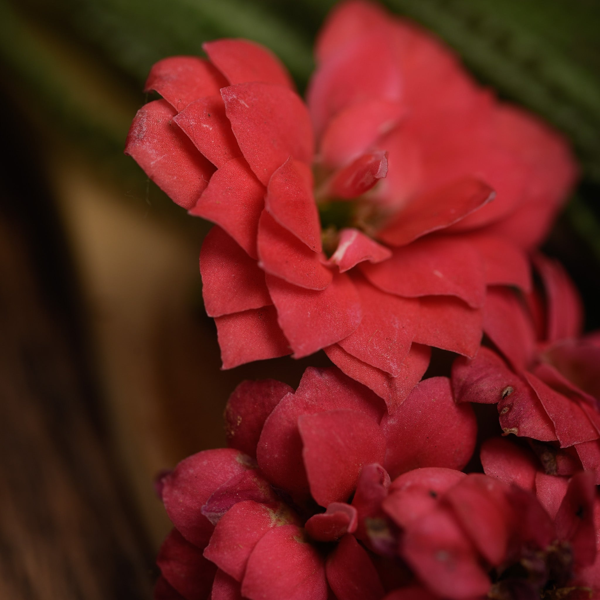 Sagrada Madre – Räucherpastillen „7 Tage Reinigung" - Rose & Lavendel - 7 Stk.