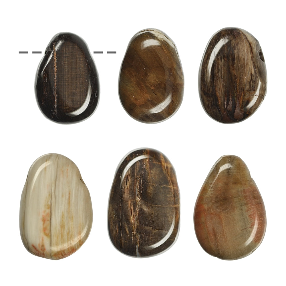 Trommelstein versteinertes Holz gebohrt