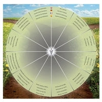 Pendel Schungit (stab.)