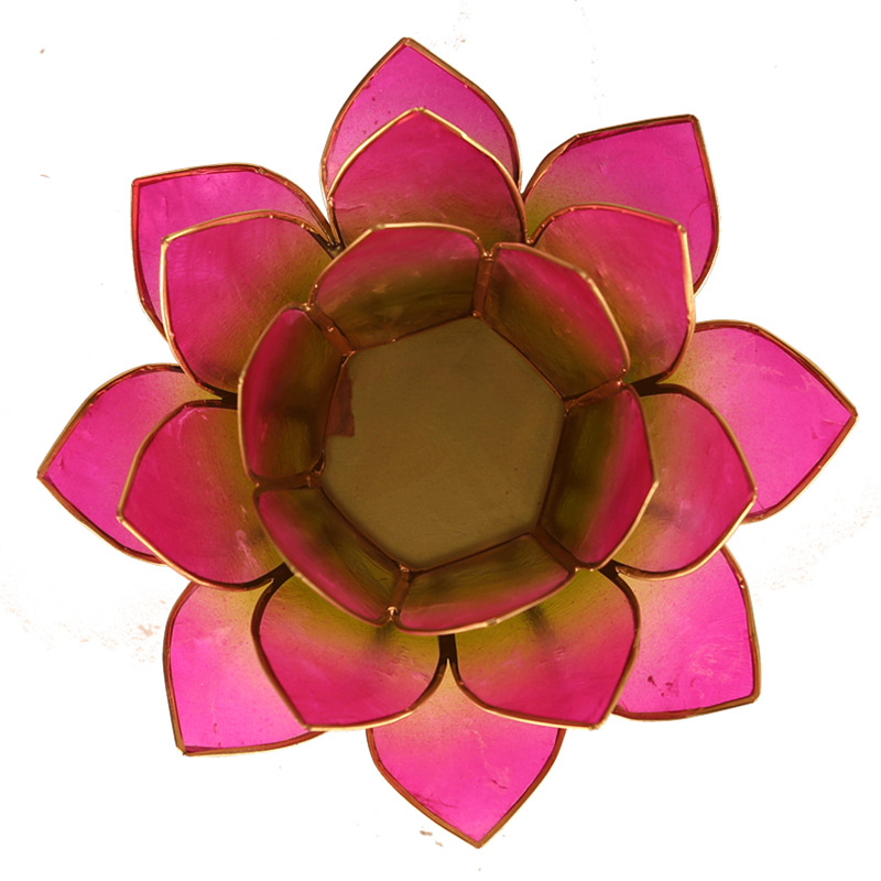 Lotus Teelichthalter rosa goldfarbig