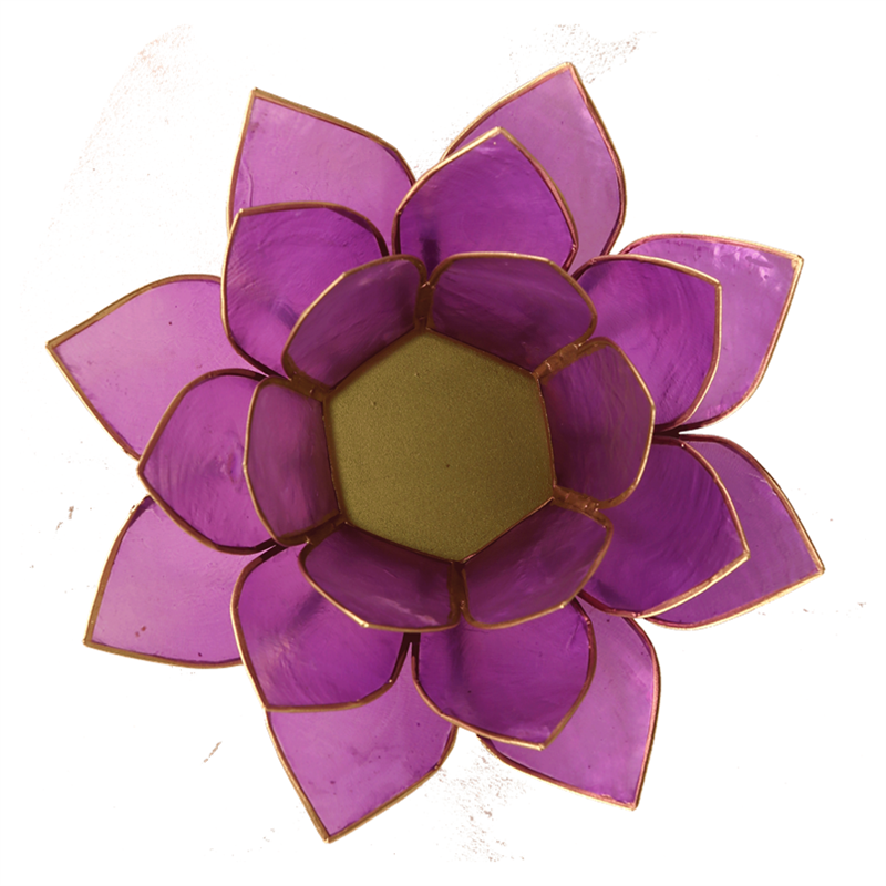 Lotus Teelichthalter lila goldfarbig