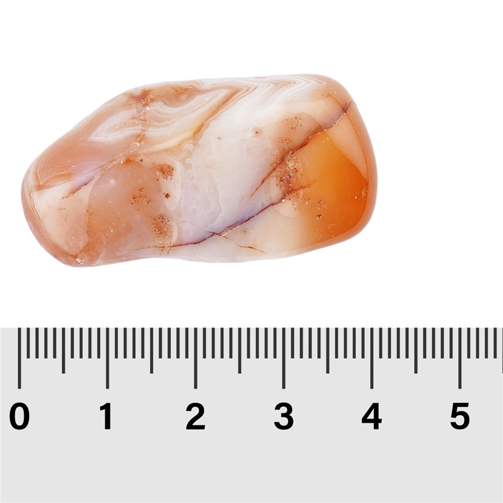 Carneol (gebändert) - Trommelstein - Größe 3 - 4,5 cm