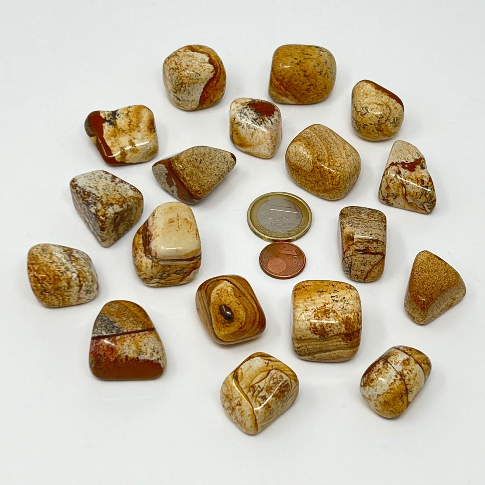 Landschaftsjaspis - Trommelstein - Größe 2-3 cm