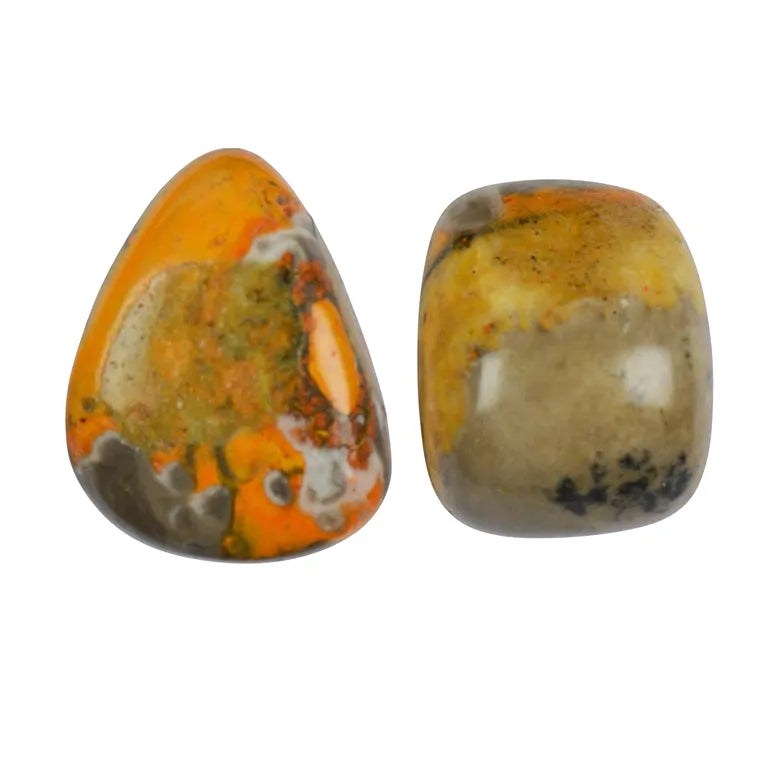 Eclipse (Bumblebee-Jasper) – Trommelstein 2,5–3,5 cm