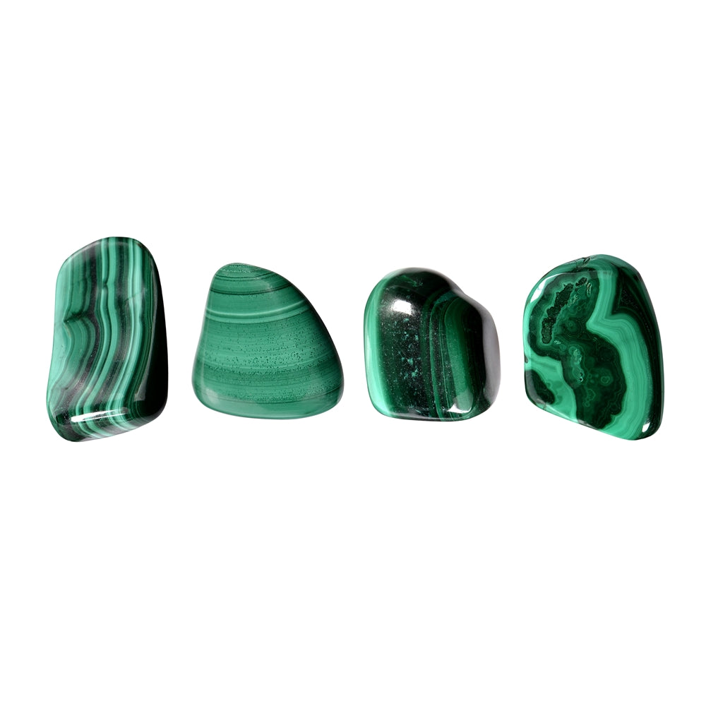 Malachit (stab.) - Trommelstein - Größe 1 - 2,5 cm