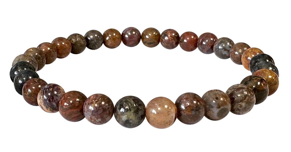 Pietersit - A Qualität - Perlenarmband 6 mm