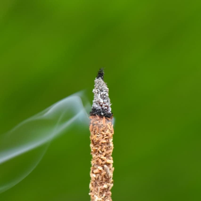Sagrada Madre - Palo Santo - Räucherstäbchen