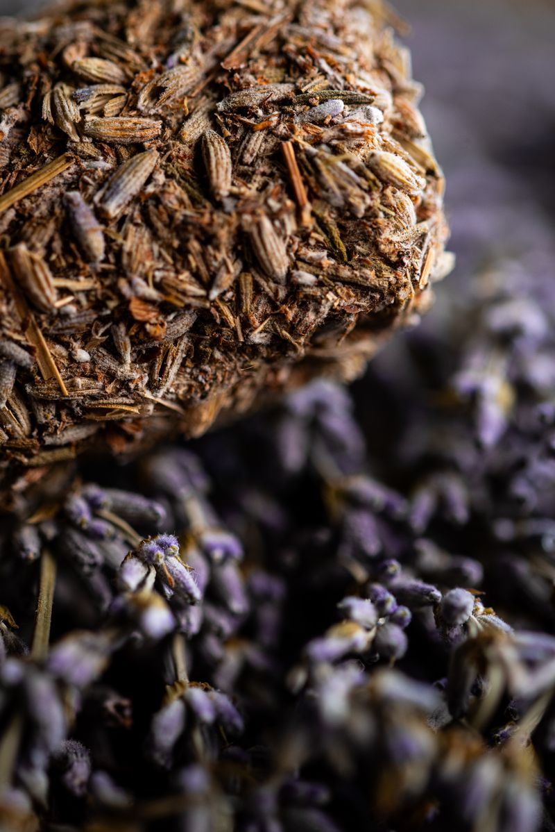 Sagrada Madre – Palo Santo Stick „Lavendel“