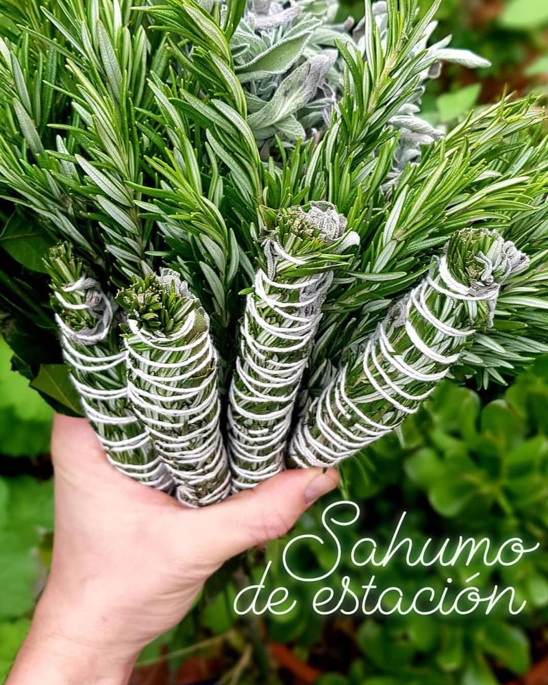 Sagrada Madre – Sahumo de Hierbas de Estación (Saisonkräuter)