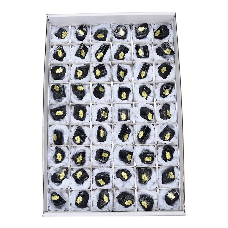 Schwarzer Turmalin (Schörl) - Rohkristall - anpoliert – Schutz & Erdung - 1,5–4 cm