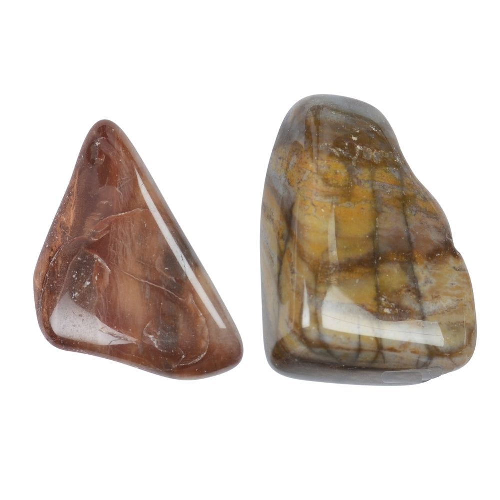 Versteinertes Holz - Trommelstein - Größe 2 - 4 cm