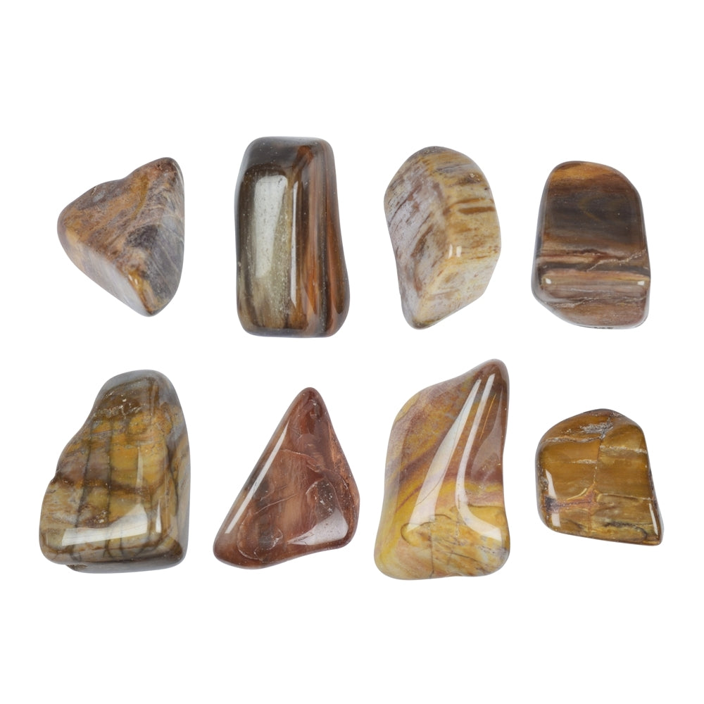 Versteinertes Holz - Trommelstein - Größe 2 - 4 cm
