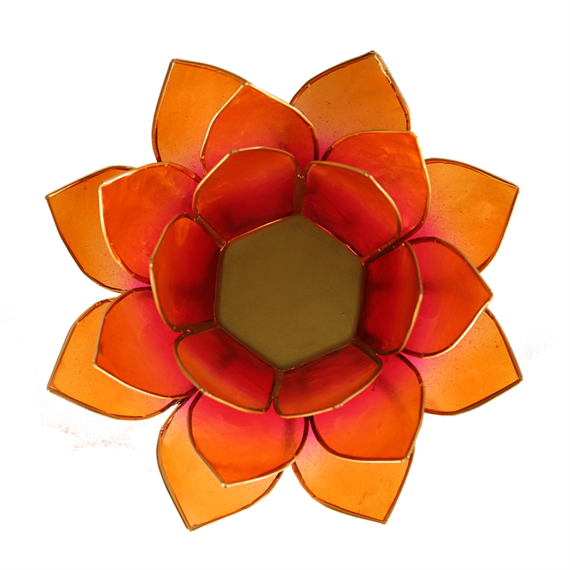 Lotus Teelichthalter orange goldfarbig