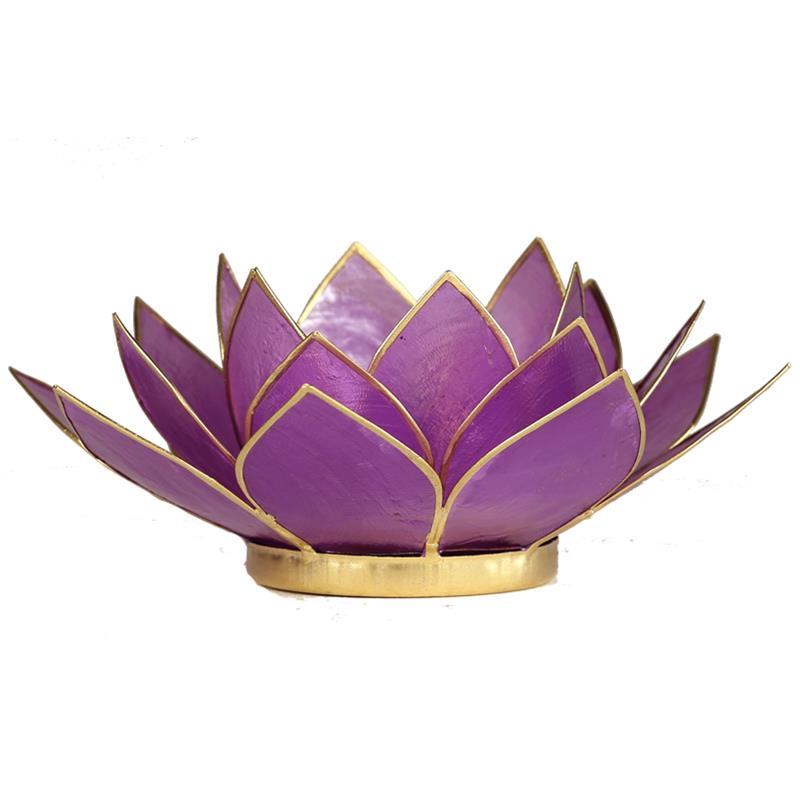 Lotus Teelichthalter lila goldfarbig