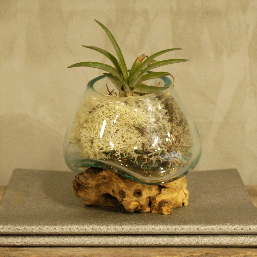 Geschmolzenes Glas auf Holz - kleine Schüssel