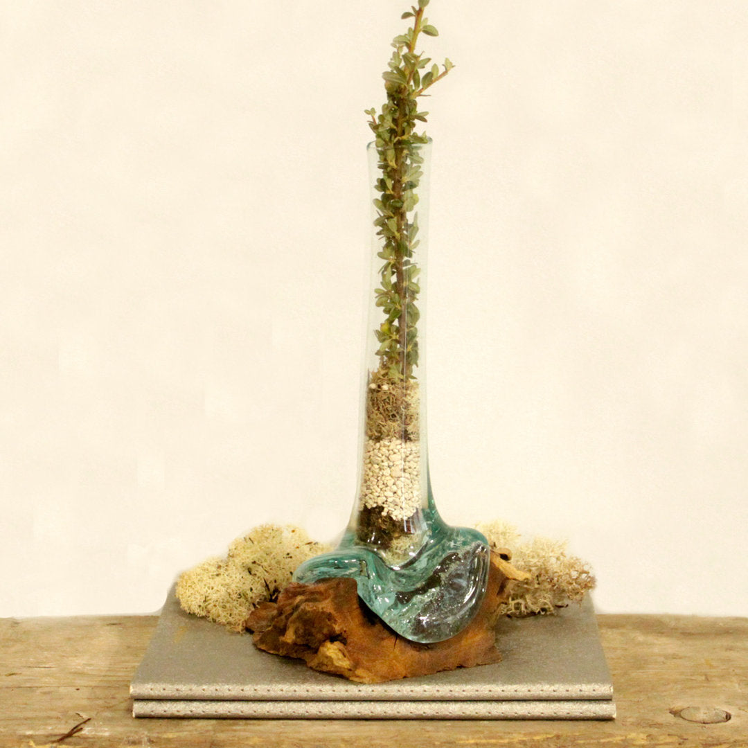 Geschmolzenes Glas auf Holz-Vase