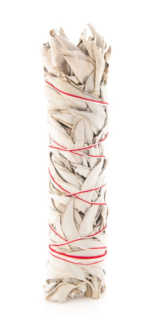 Weißer Salbei ca. 23 cm