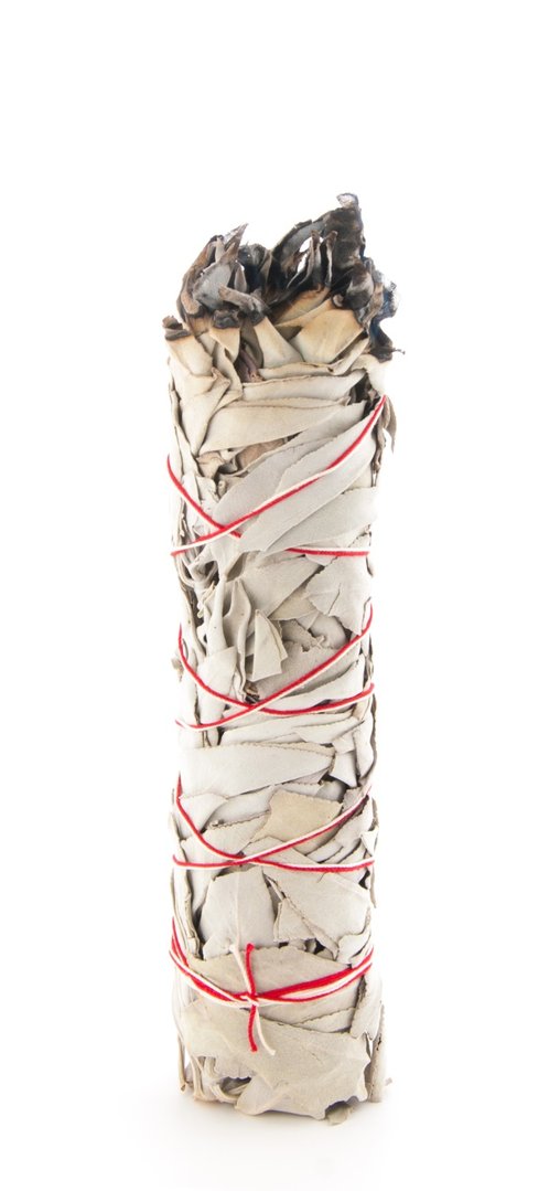 Weißer Salbei ca. 23 cm