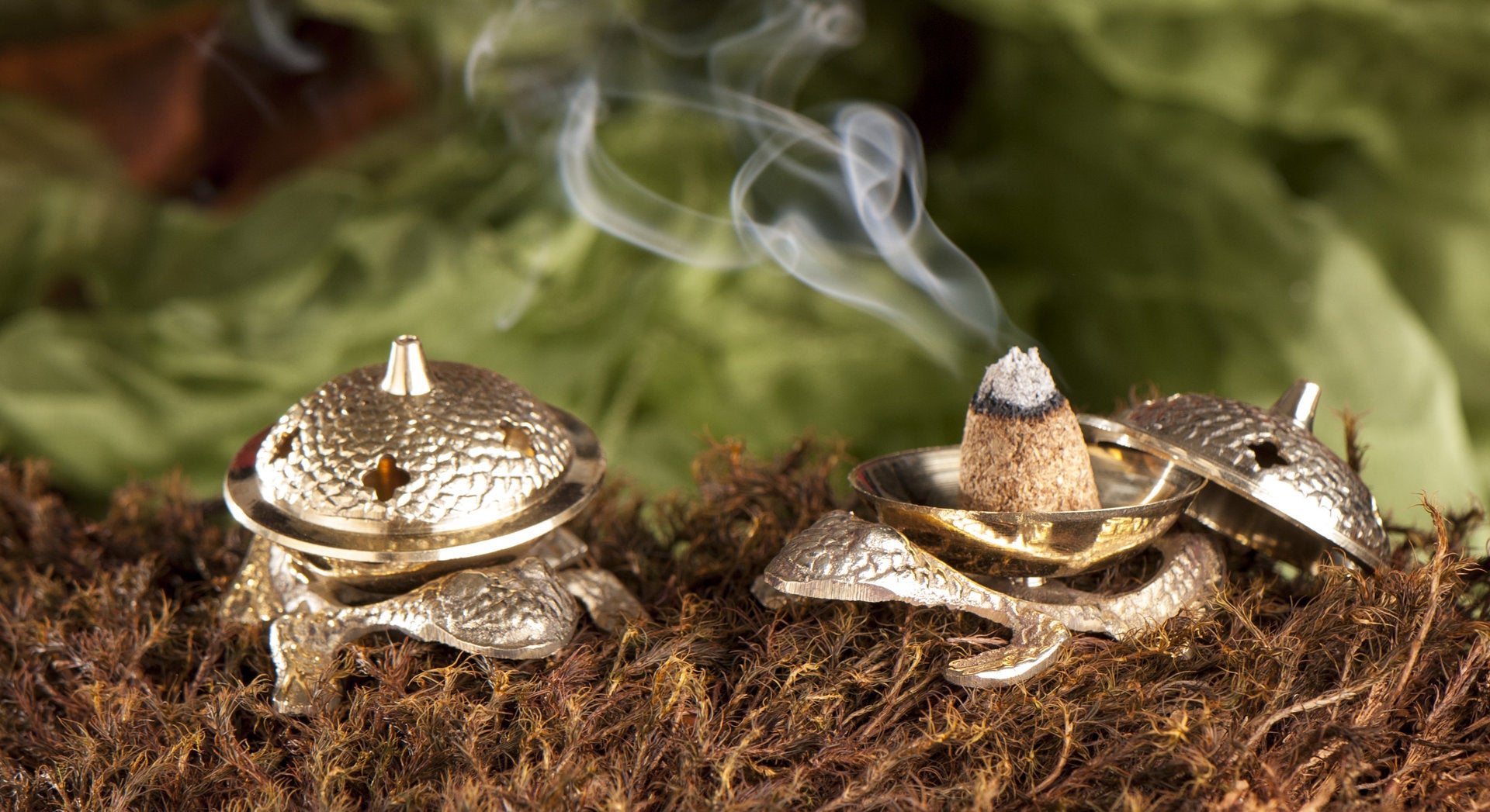 Kegelhalter Frosch